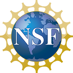 nsf logo